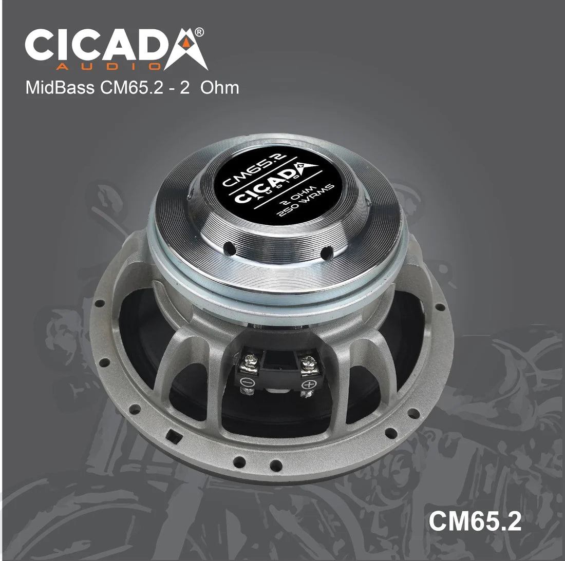 CICADA AUDIO CM65 MIDRANGE SPEAKERS 6.5" (2Ω AND 4Ω)