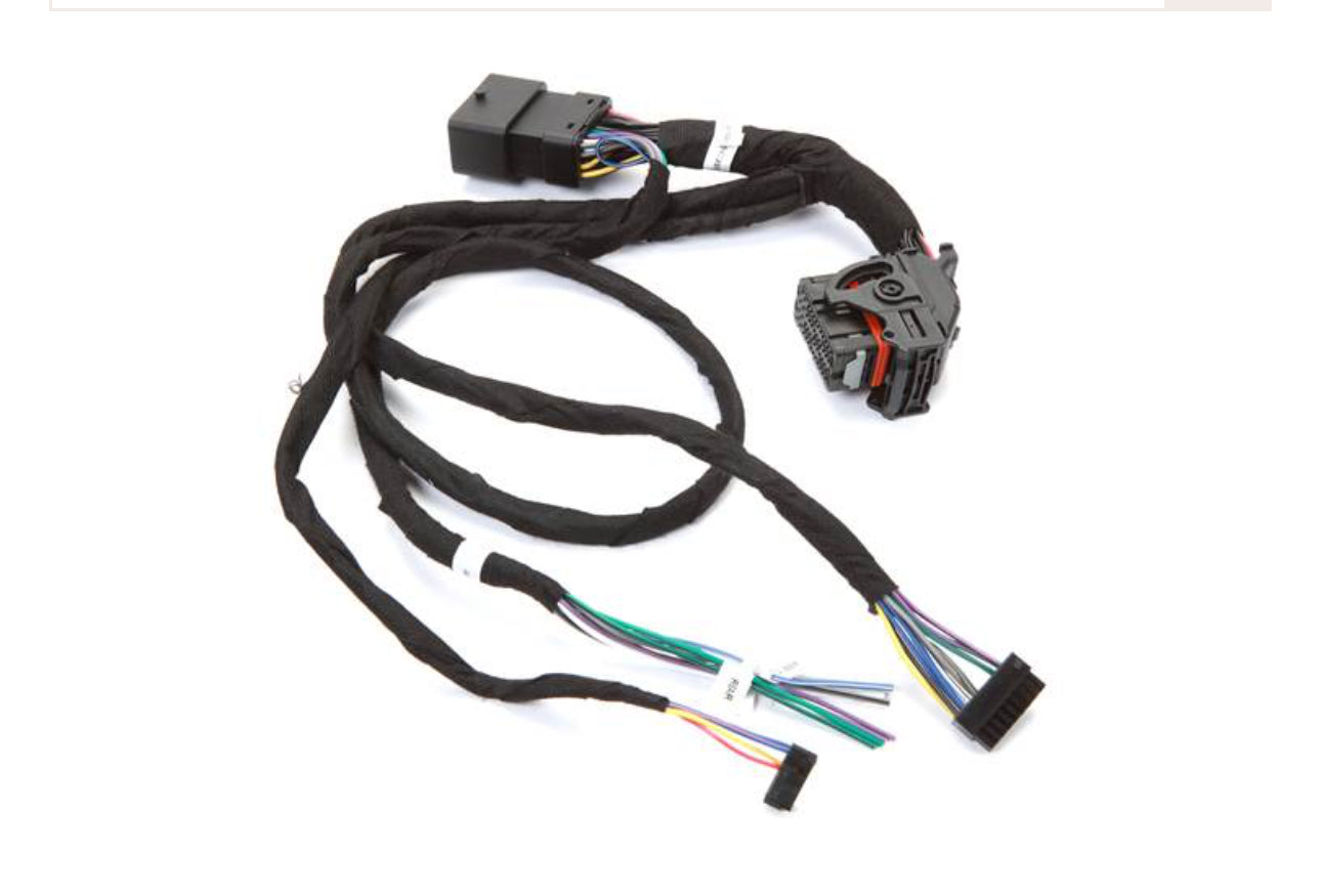 DSR1 t harness for gt and gts Harley radio 2014 - 2023 with turn on delay